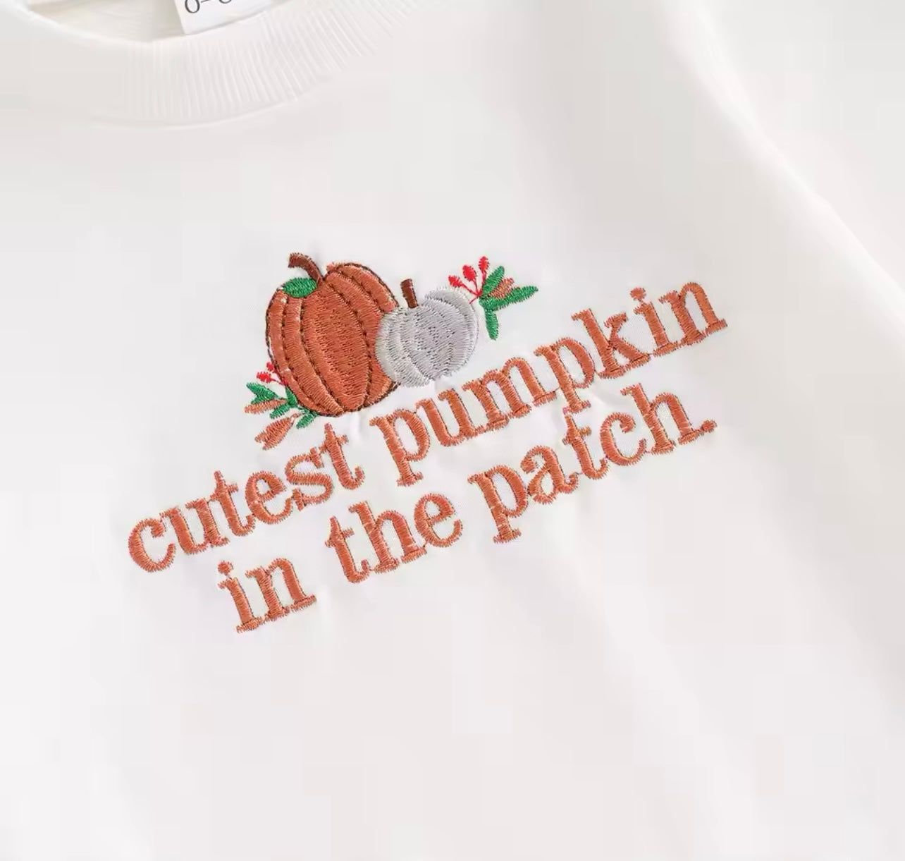 Pumpkin Motif Sweater